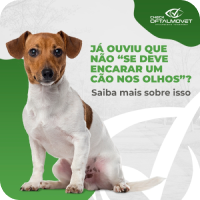 Logo profissional criado pela WeDoLogos - exemplo 7